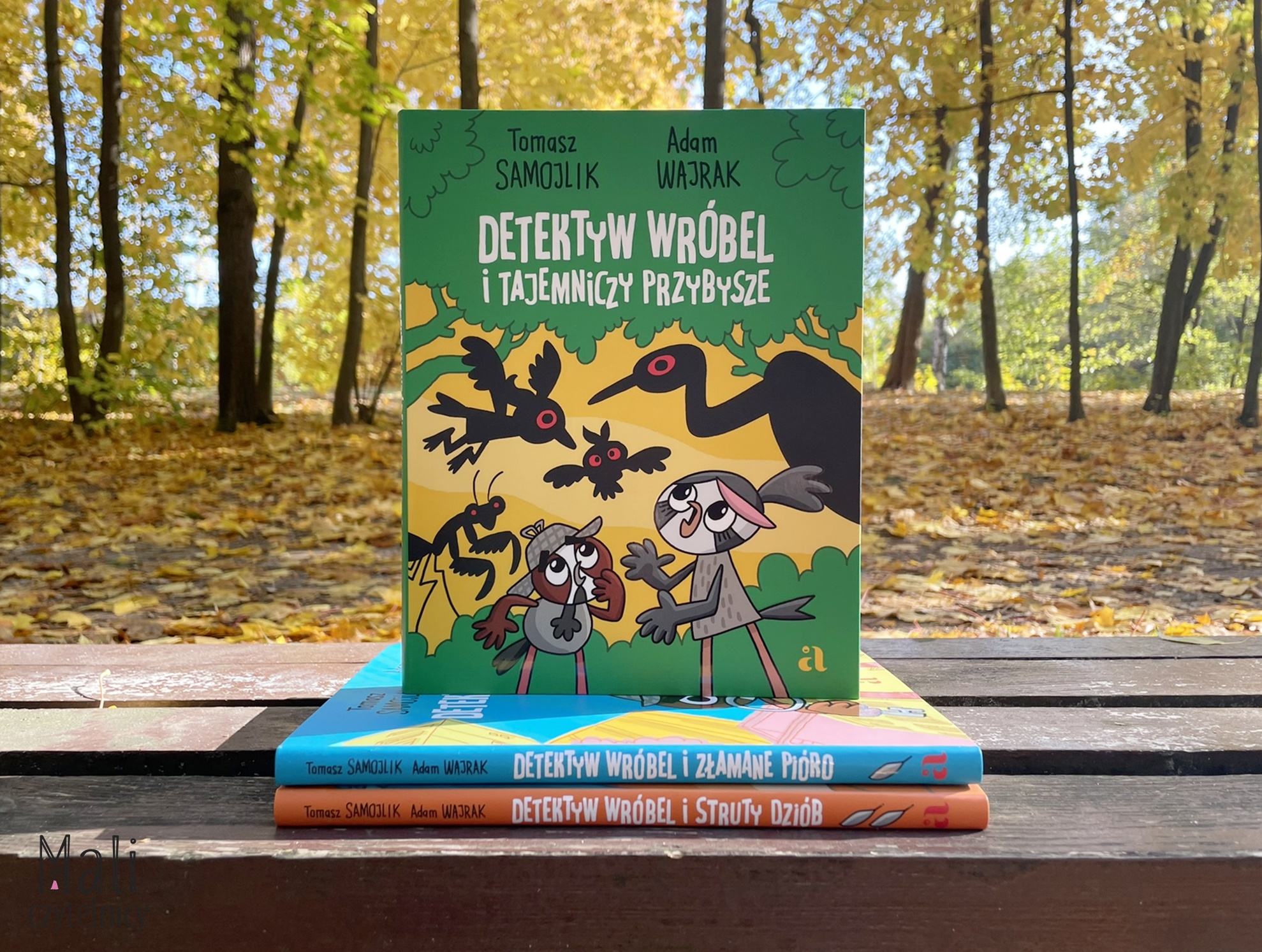 Detektyw Wróbel i tajemniczy przybysze