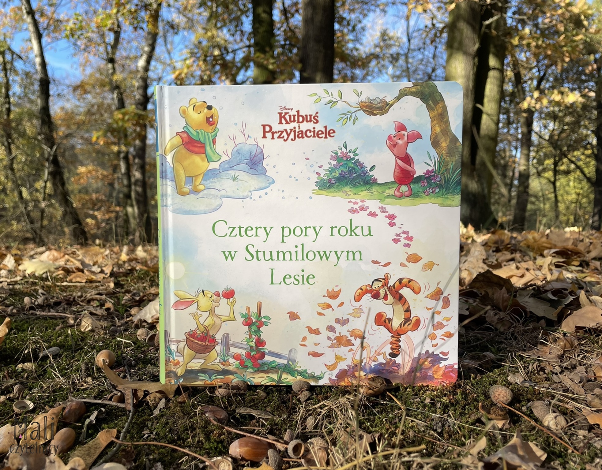 Kubuś i Przyjaciele. Cztery pory roku w Stumilowym Lesie