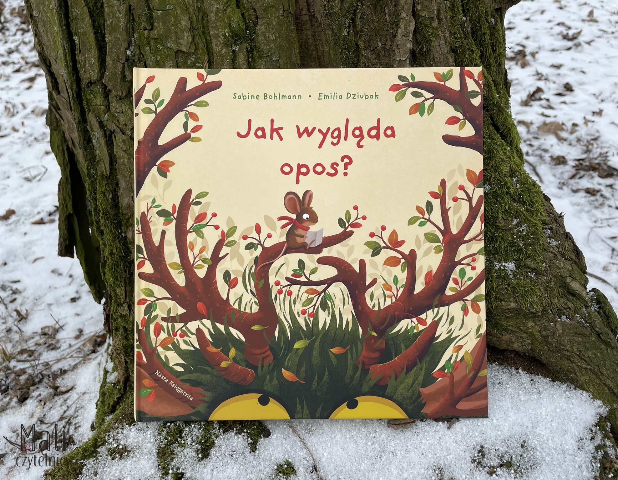 Jak wygląda opos?