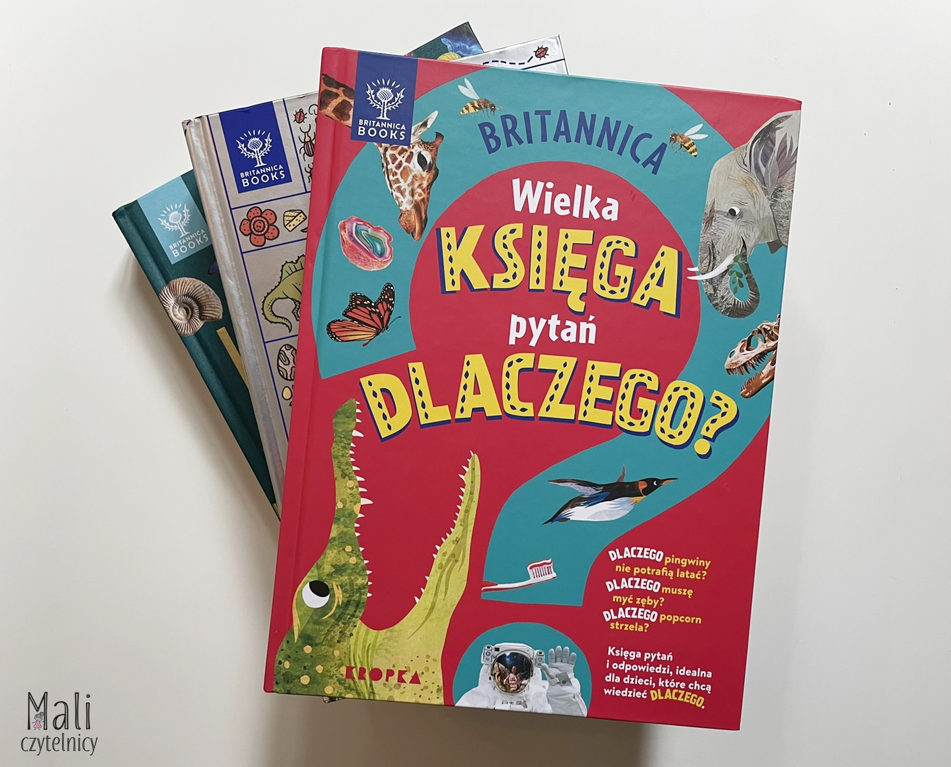 Britannica. Wielka księga pytań dlaczego?