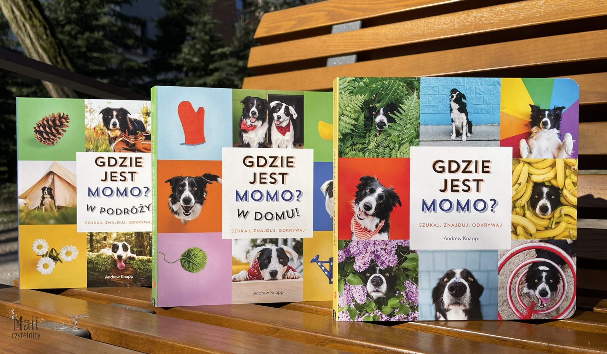 Gdzie jest Momo? / Gdzie jest Momo? W domu! / Gdzie jest Momo? W podróży!