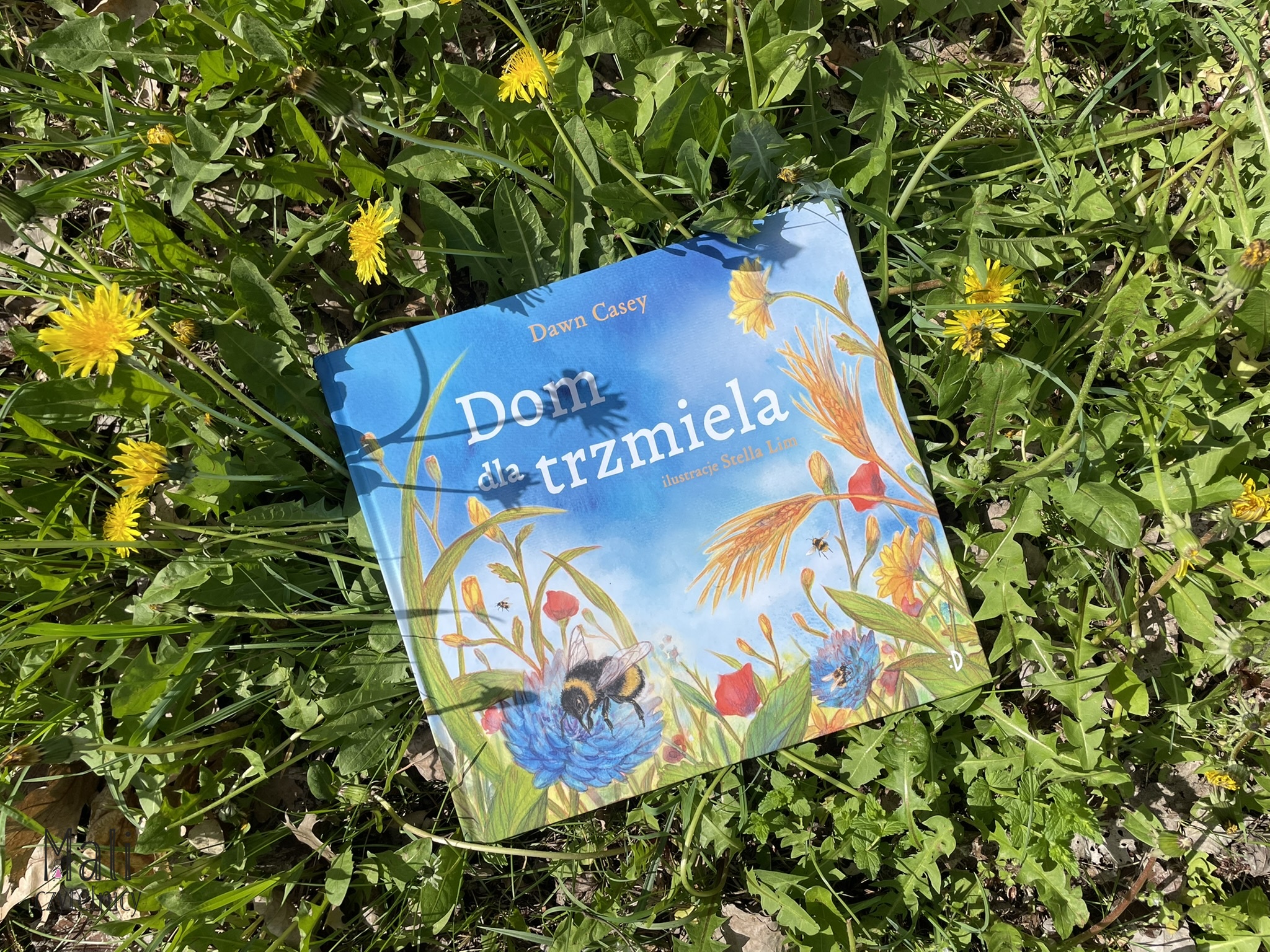 Dom dla trzmiela – Patronat