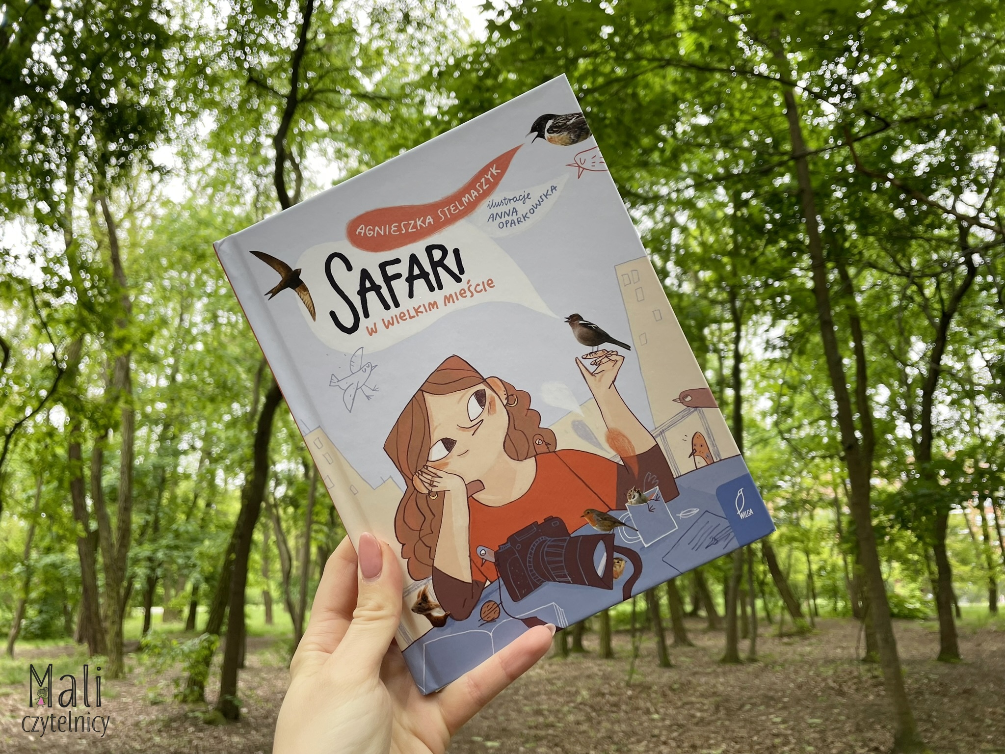 Safari w wielkim mieście