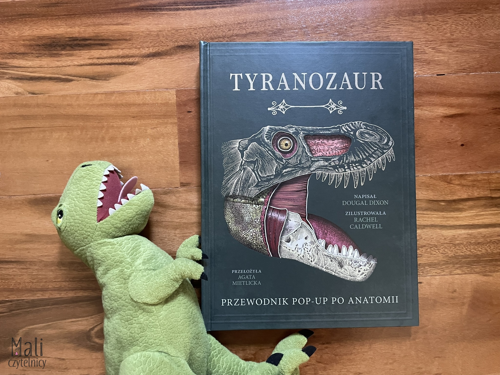 Tyranozaur. Przewodnik pop-up po anatomii