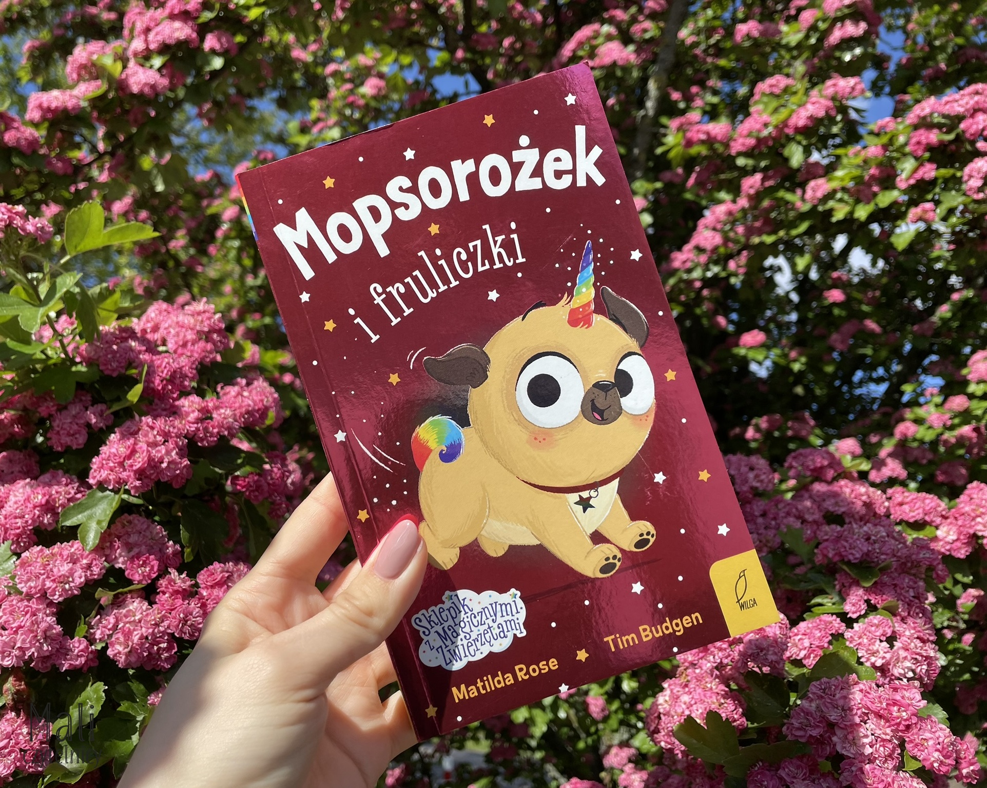 Mopsorożek i fruliczki. Sklepik z magicznymi zwierzętami