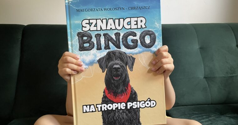 Sznaucer Bingo na tropie psigód
