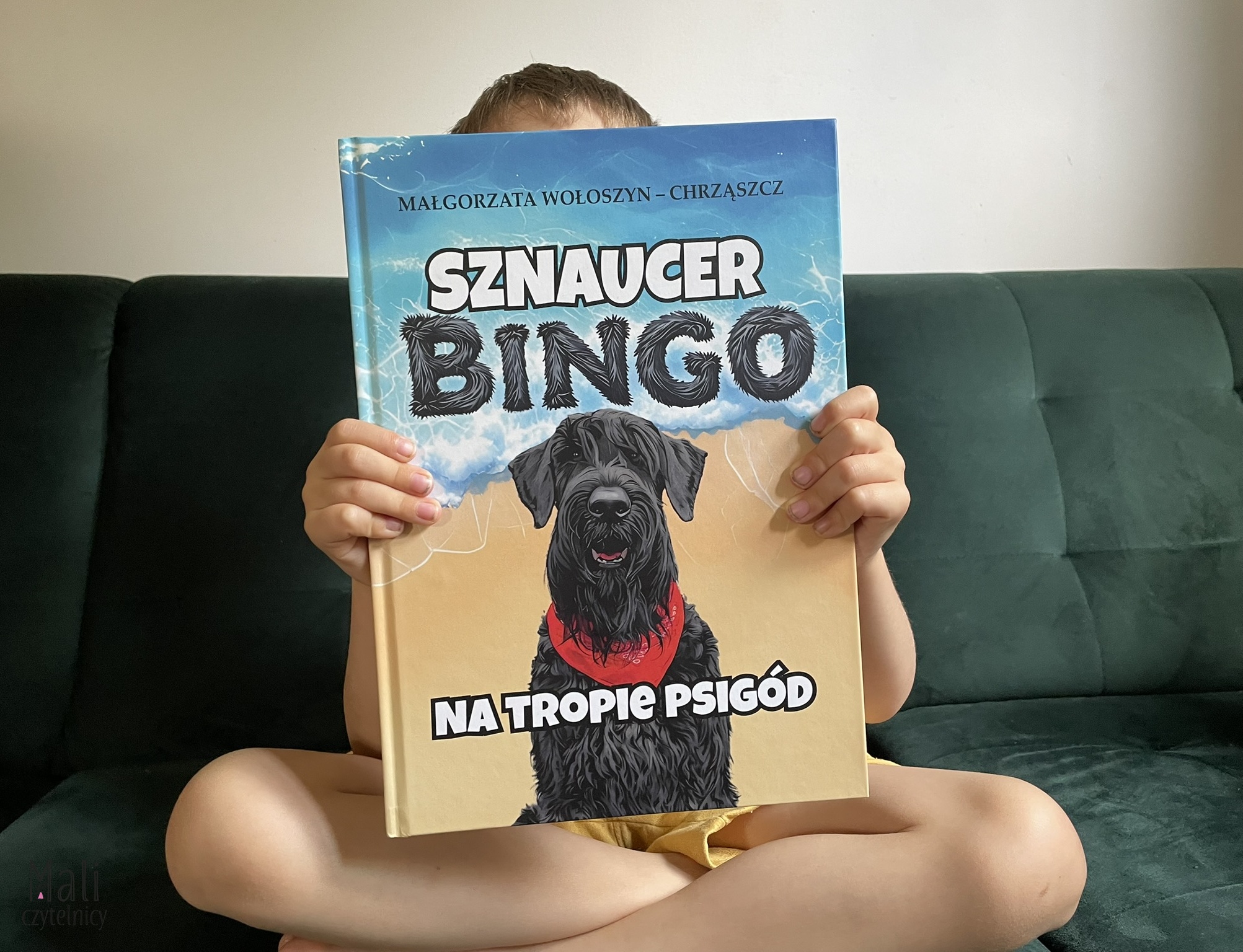 Sznaucer Bingo na tropie psigód