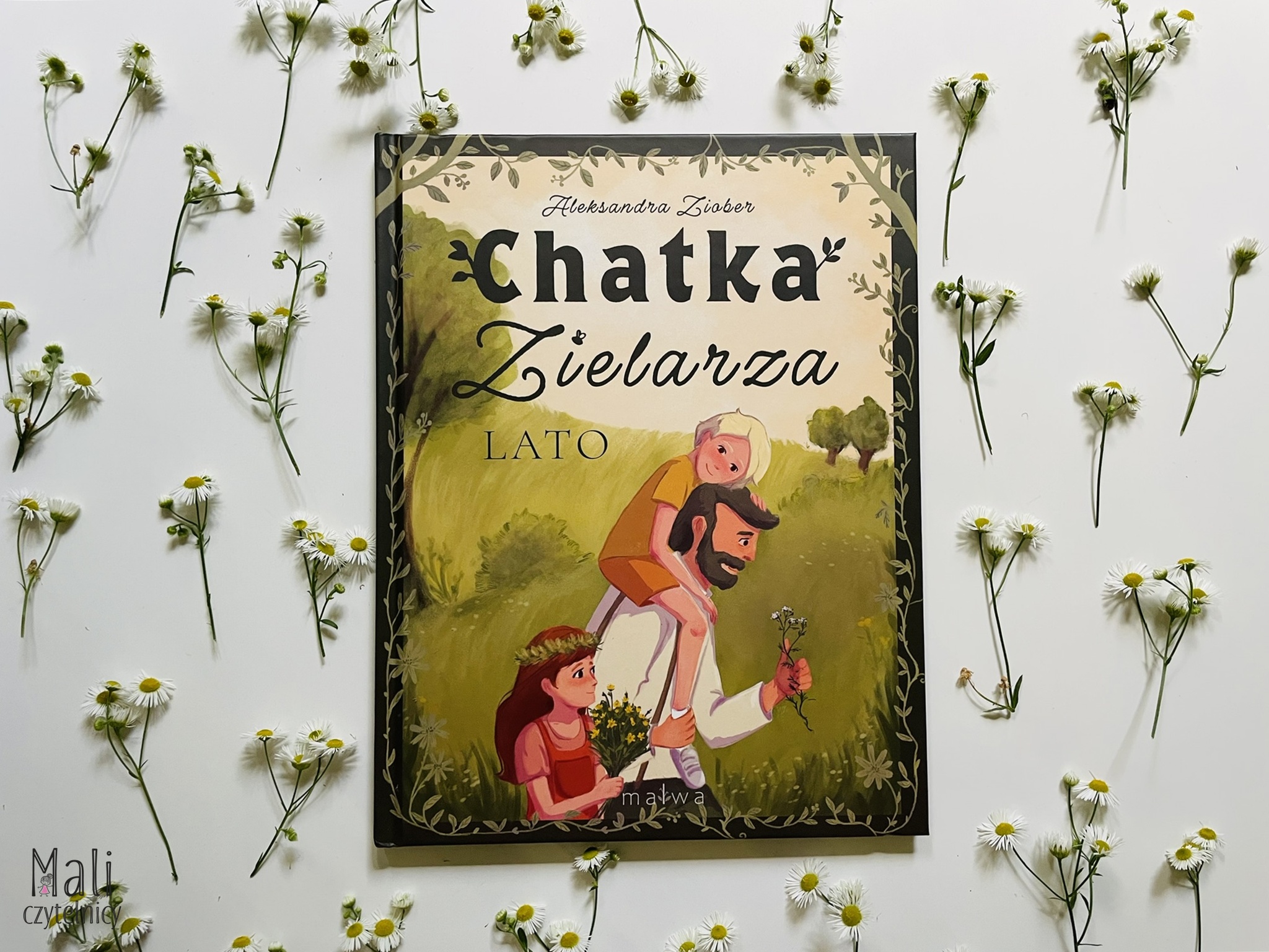 Chatka Zielarza – Lato