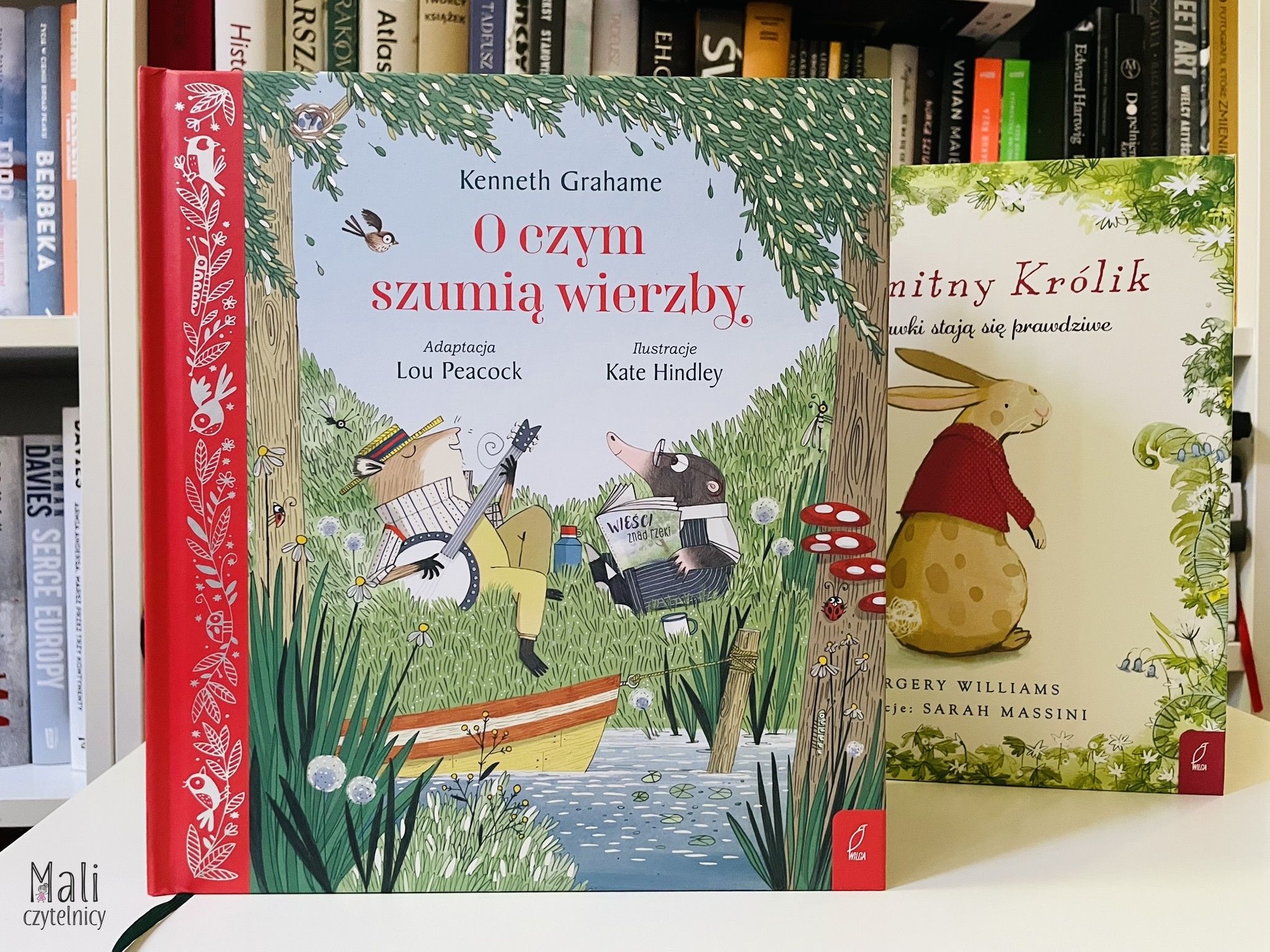 O czym szumią wierzby