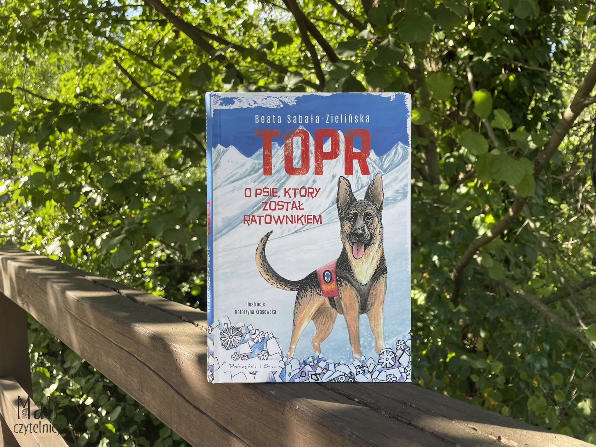 TOPR. O psie, który został ratownikiem