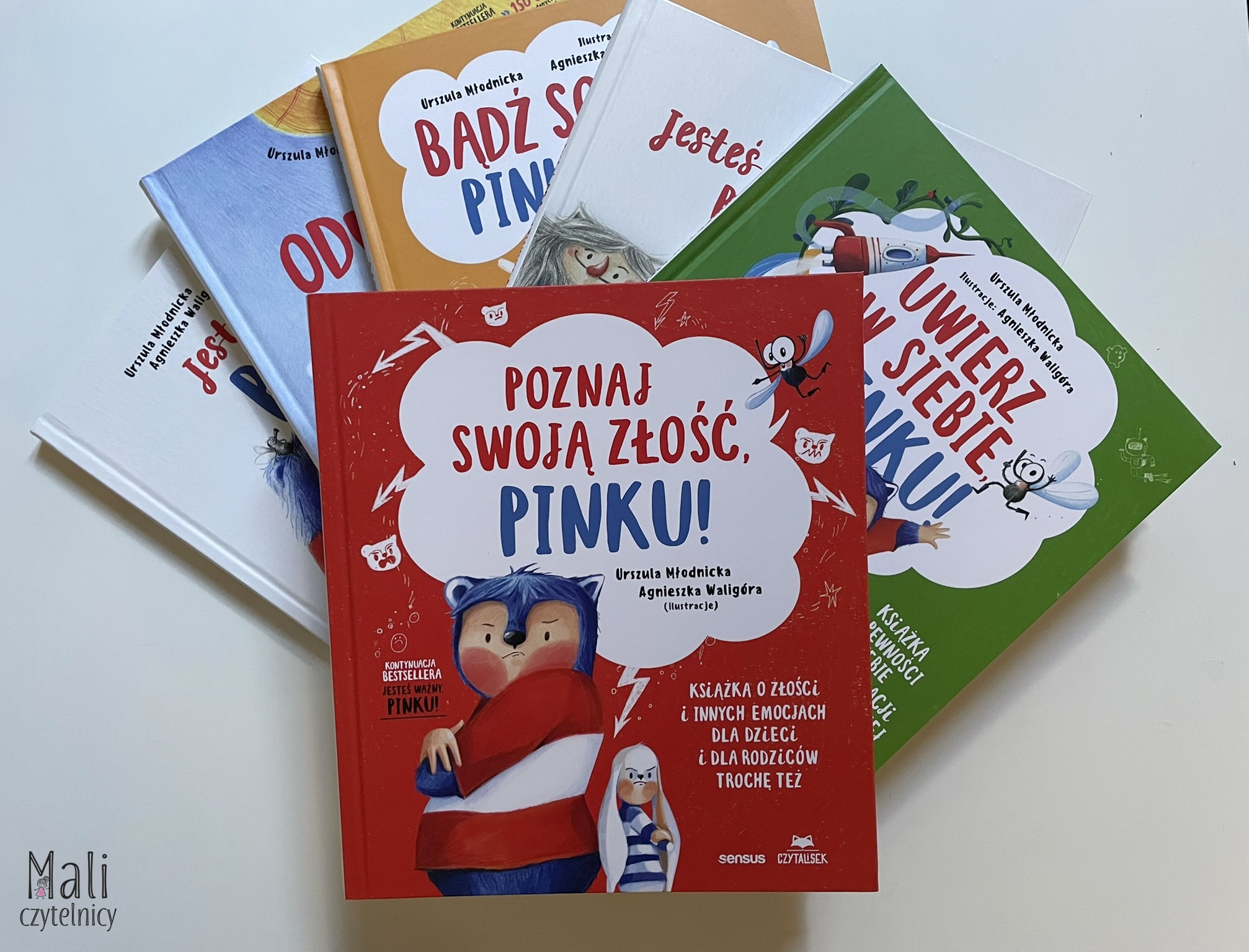 Poznaj swoją złość, Pinku! Książka o złości i innych emocjach dla dzieci i dla rodziców trochę też