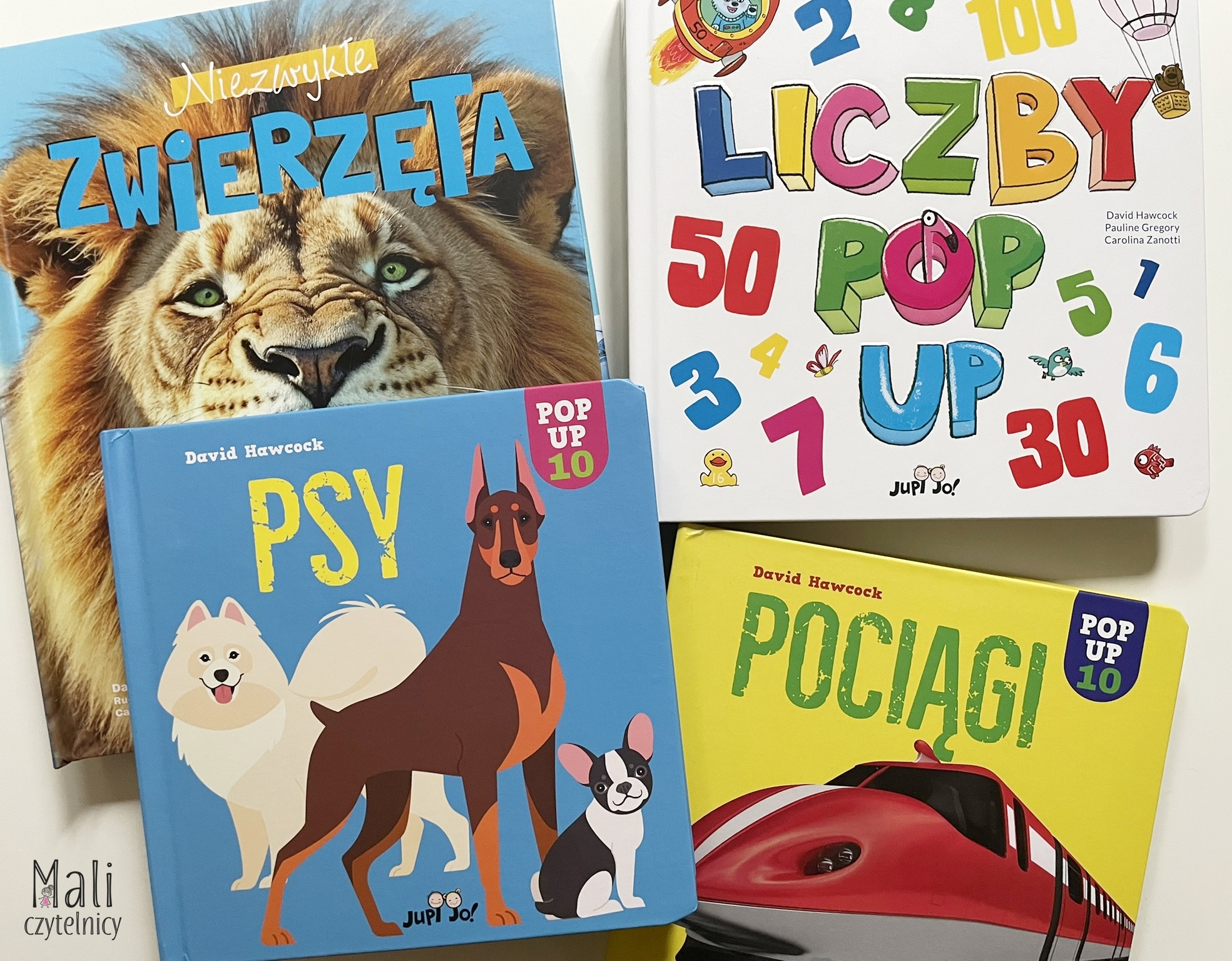 Zachwycające pop-upy: Niezwykłe zwierzęta / Liczby / Pociągi / Psy