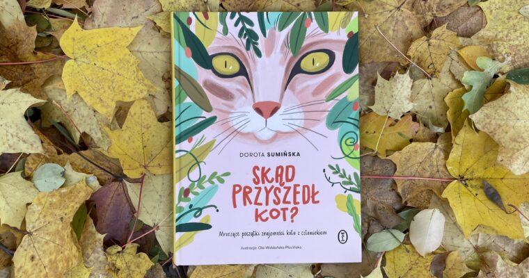 Skąd przyszedł kot?