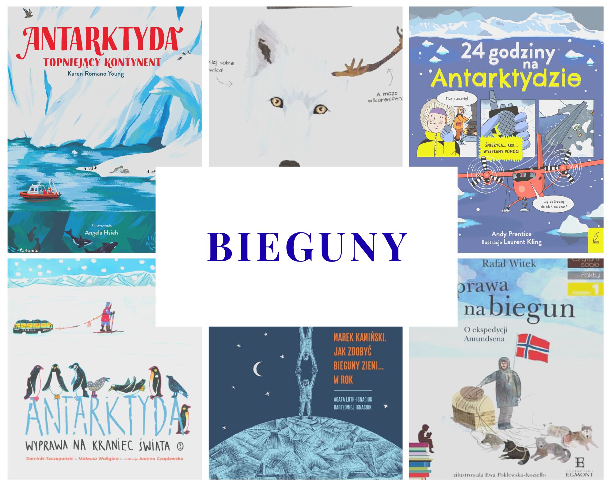 Tam, gdzie zawsze jest zimno – książki dla dzieci o biegunach