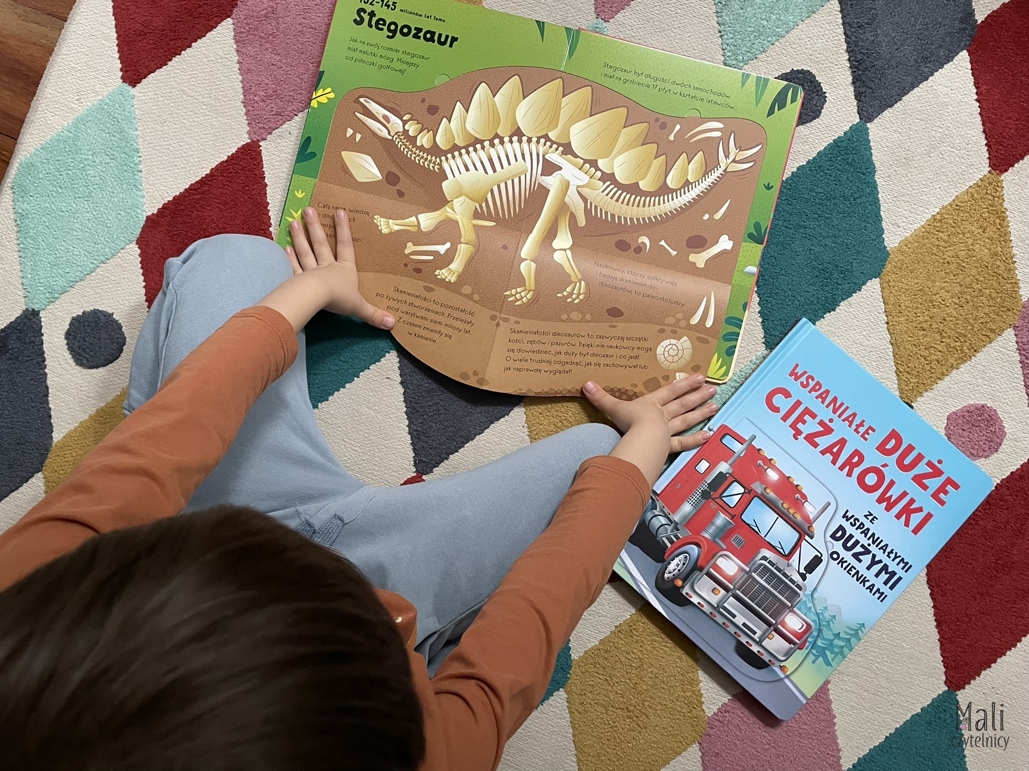 Wspaniałe duże ciężarówki ze wspaniałymi dużymi okienkami / Wspaniałe duże dinozaury ze wspaniałymi dużymi okienkami