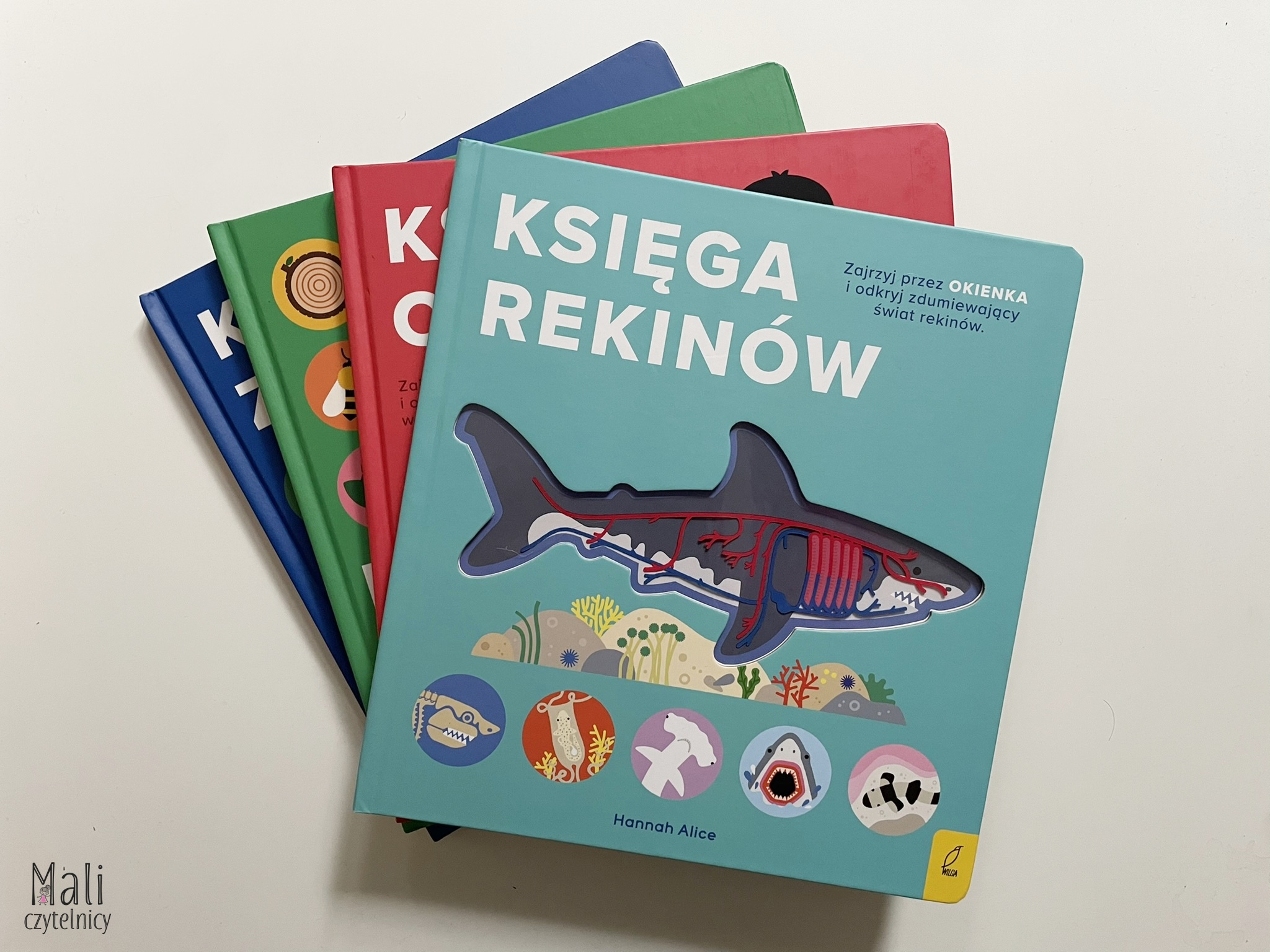 Księga rekinów. Encyklopedia z folią.