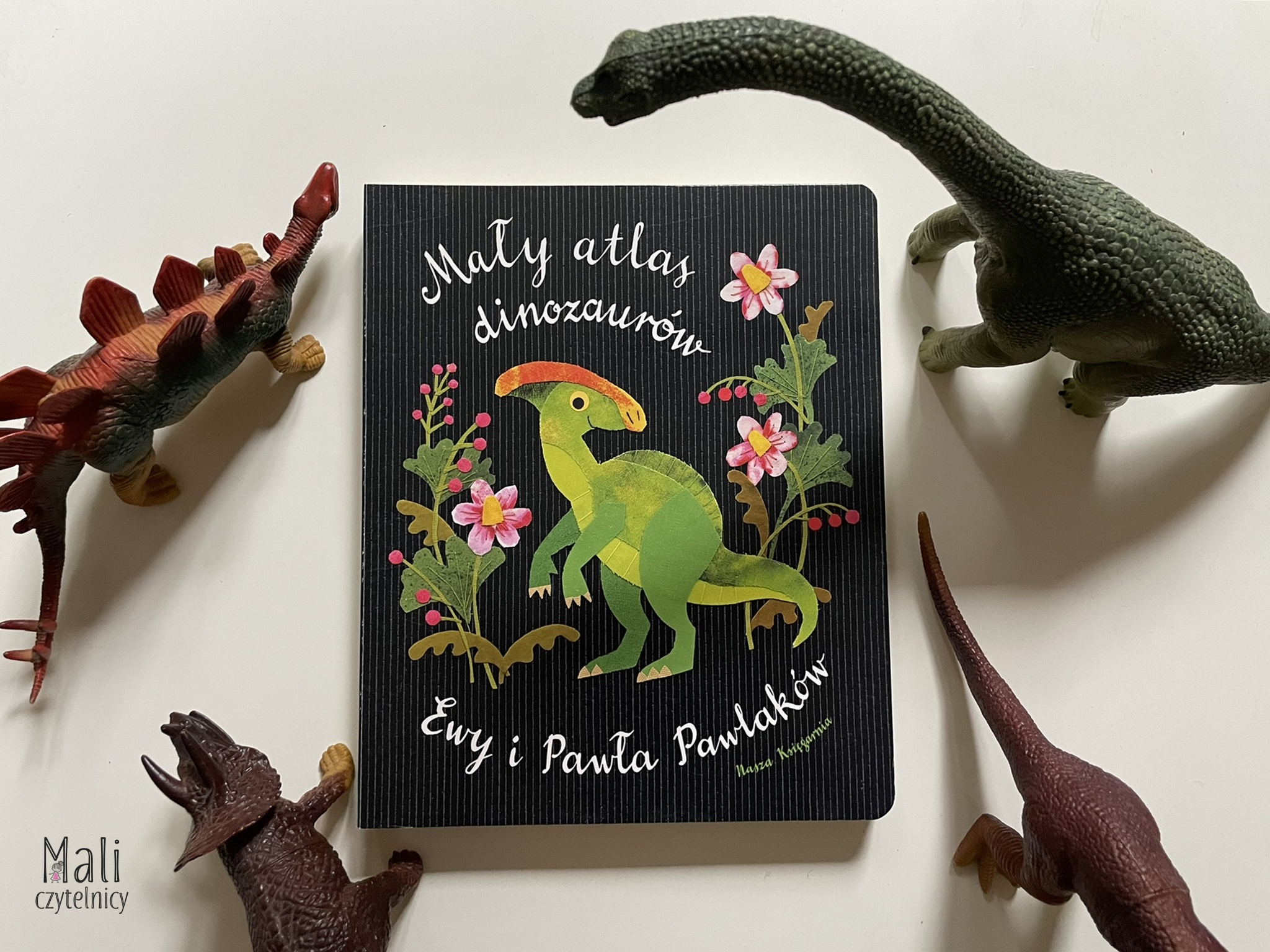 Mały atlas dinozaurów Ewy i Pawła Pawlaków