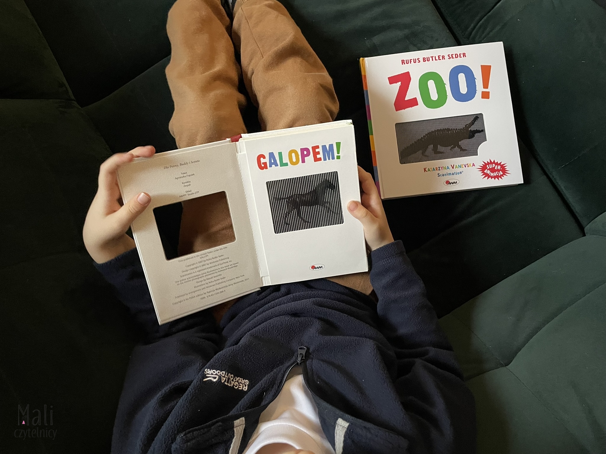 Galopem! / ZOO!
