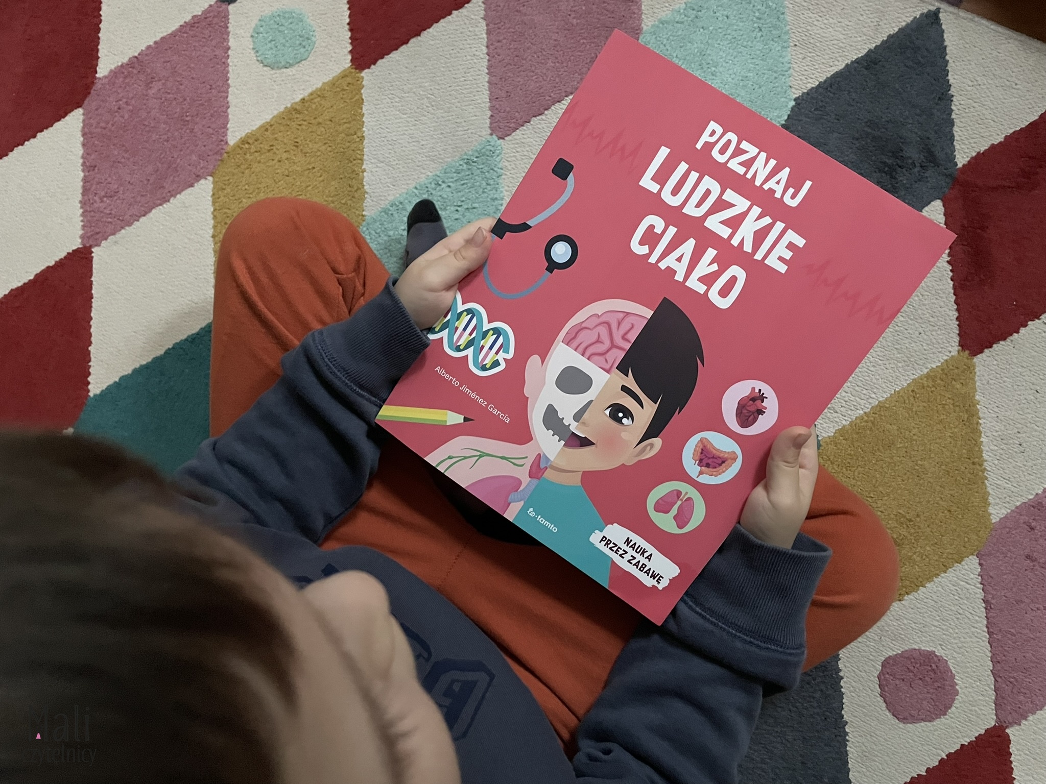 Poznaj ludzkie ciało. Nauka przez zabawę