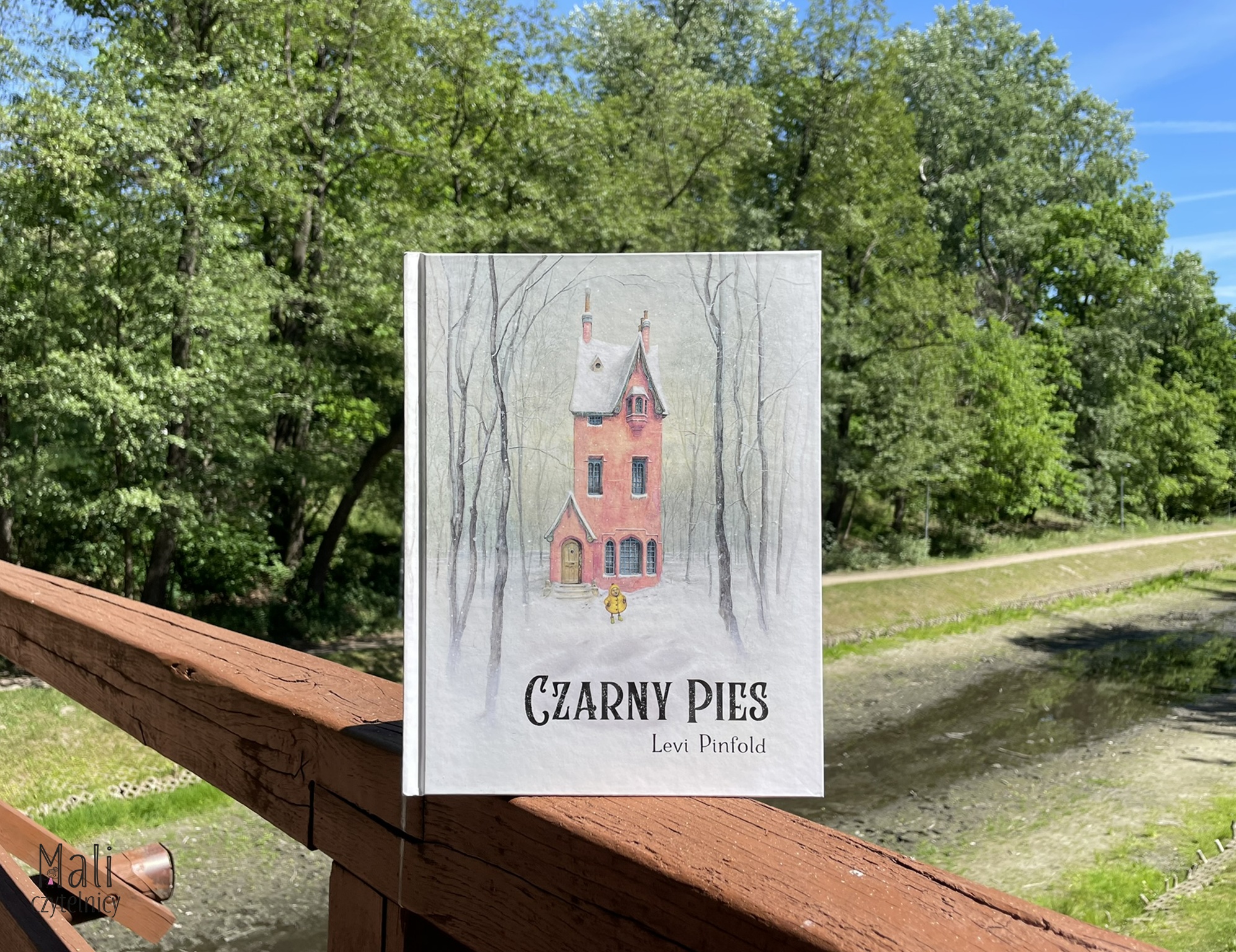 Czarny pies